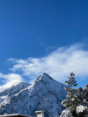 Studio 2 Alpes Style Chalet Au Pied De Telesiege Du Diable Διαμέρισμα Λε Ντεζ Αλπ Εξωτερικό φωτογραφία